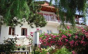 Bache Apartments